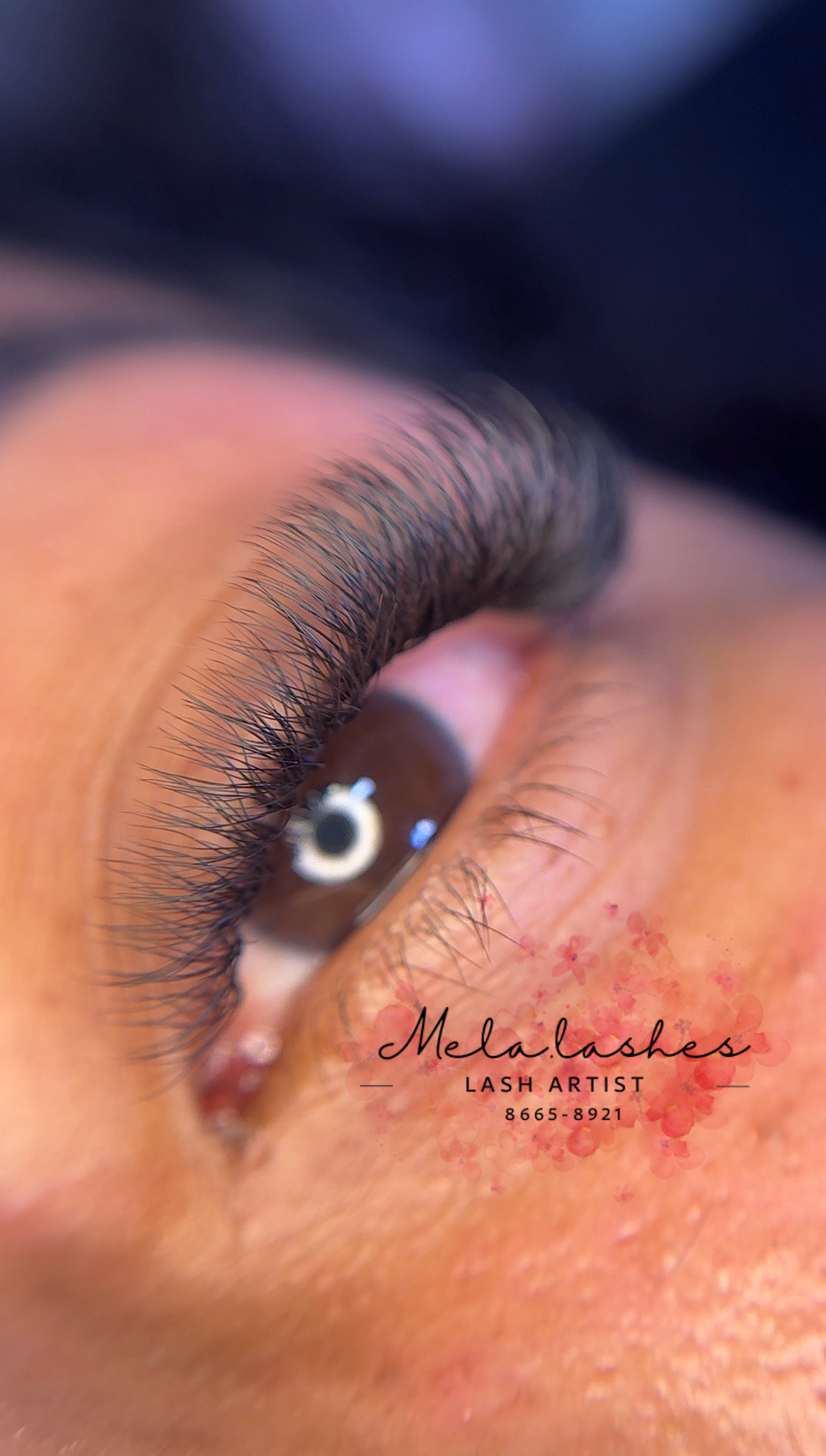 Set 4D en curvatura D